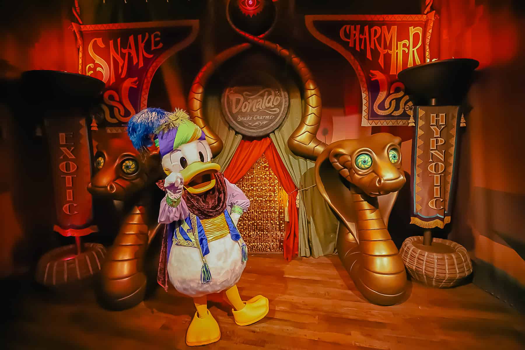 Donald Duck at Magic Kingdom in his snake charmer costume 