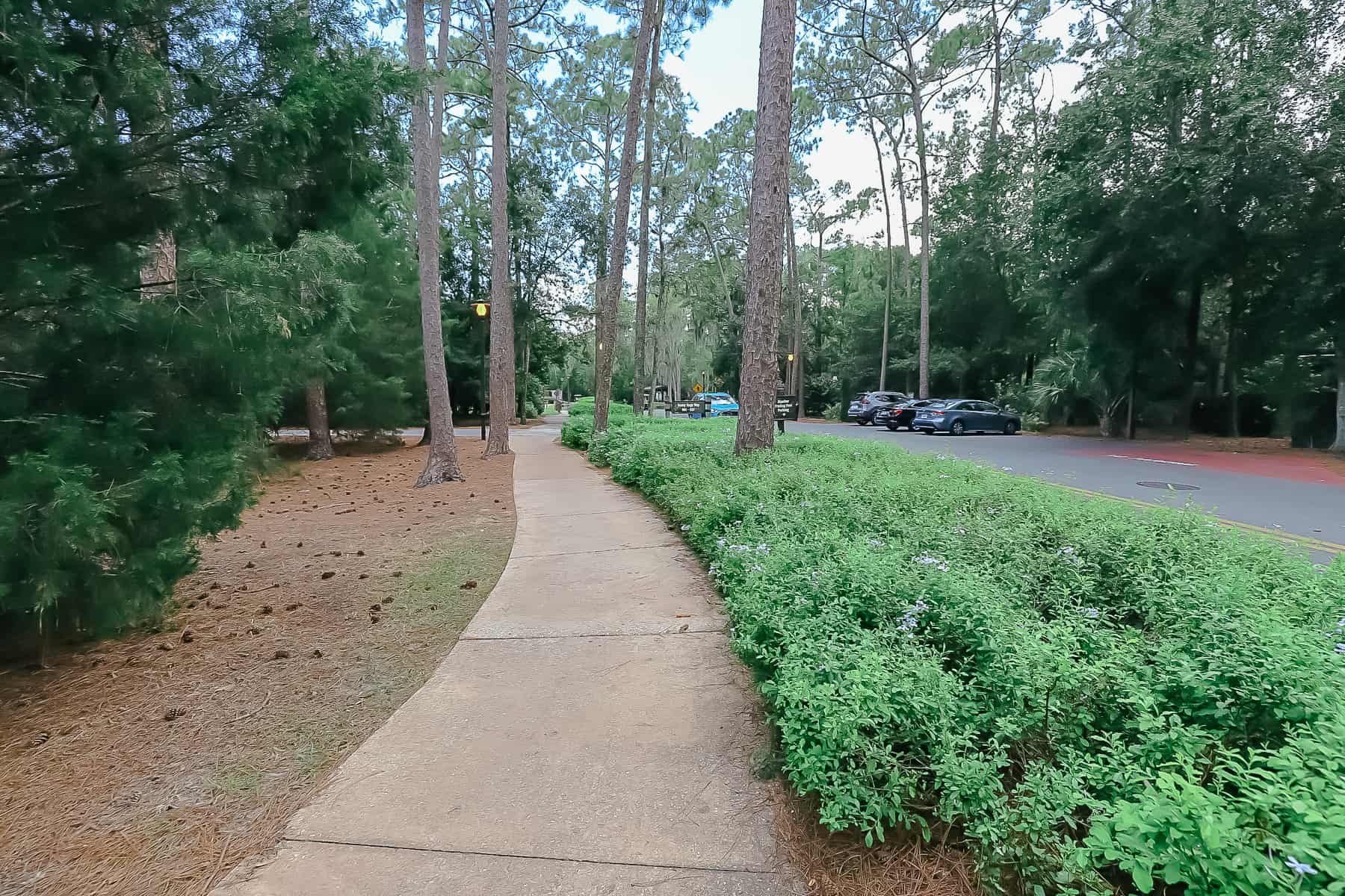 sidewalk that runs through the center of Fort Wilderness