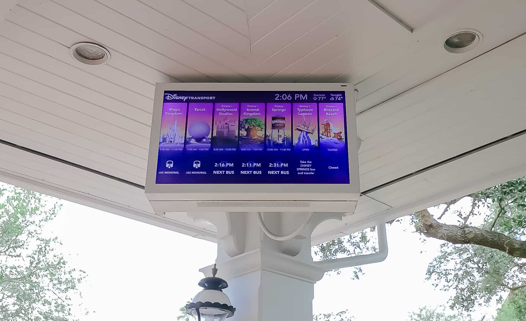 Wait times for buses at Disney's Grand Floridian 
