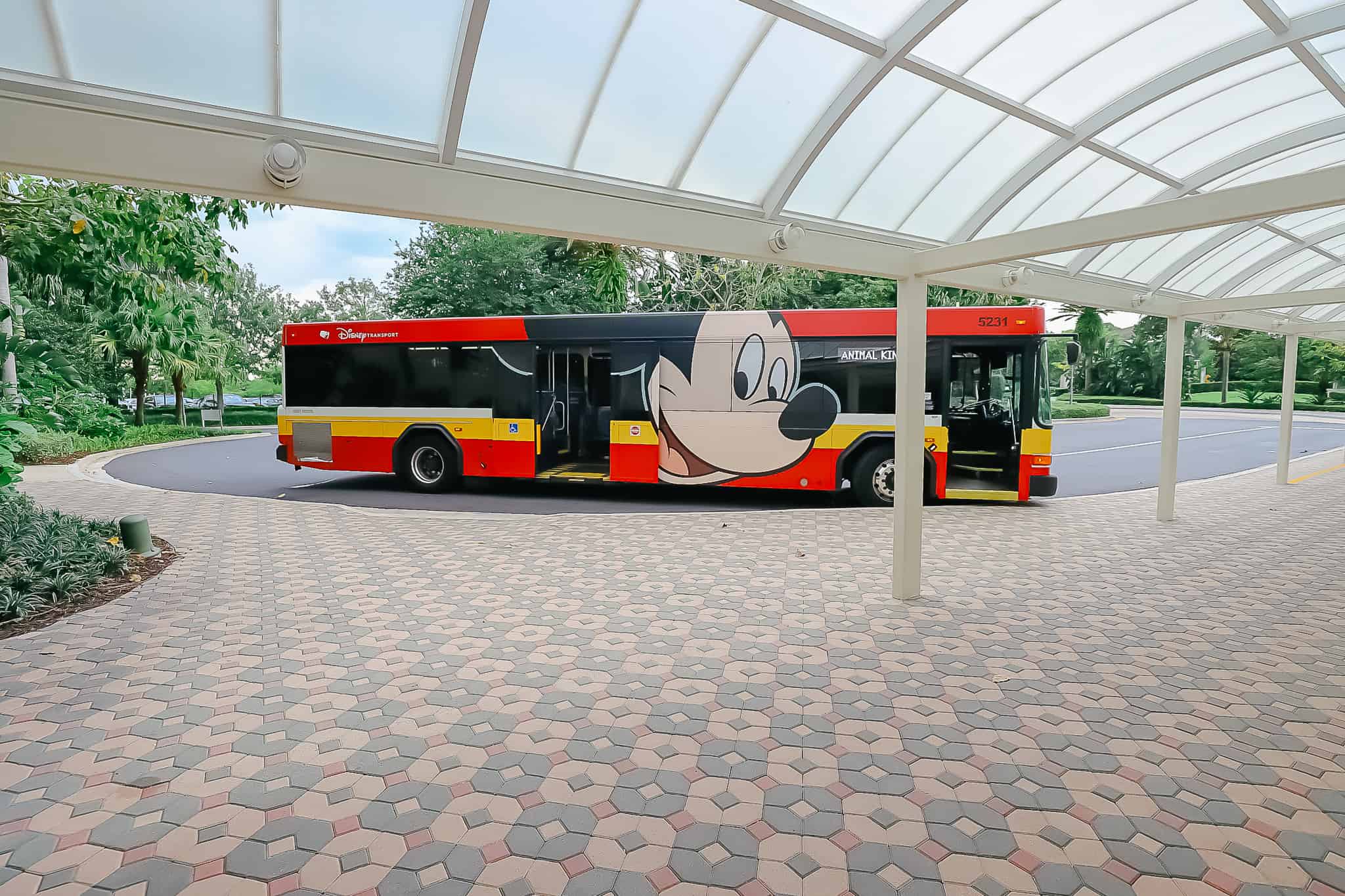 bus to Animal Kingdom at the Contemporary Resort bus stop 