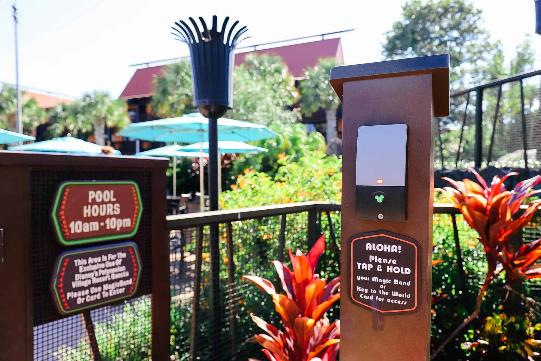 Magic Band Reader Polynesian Pool 