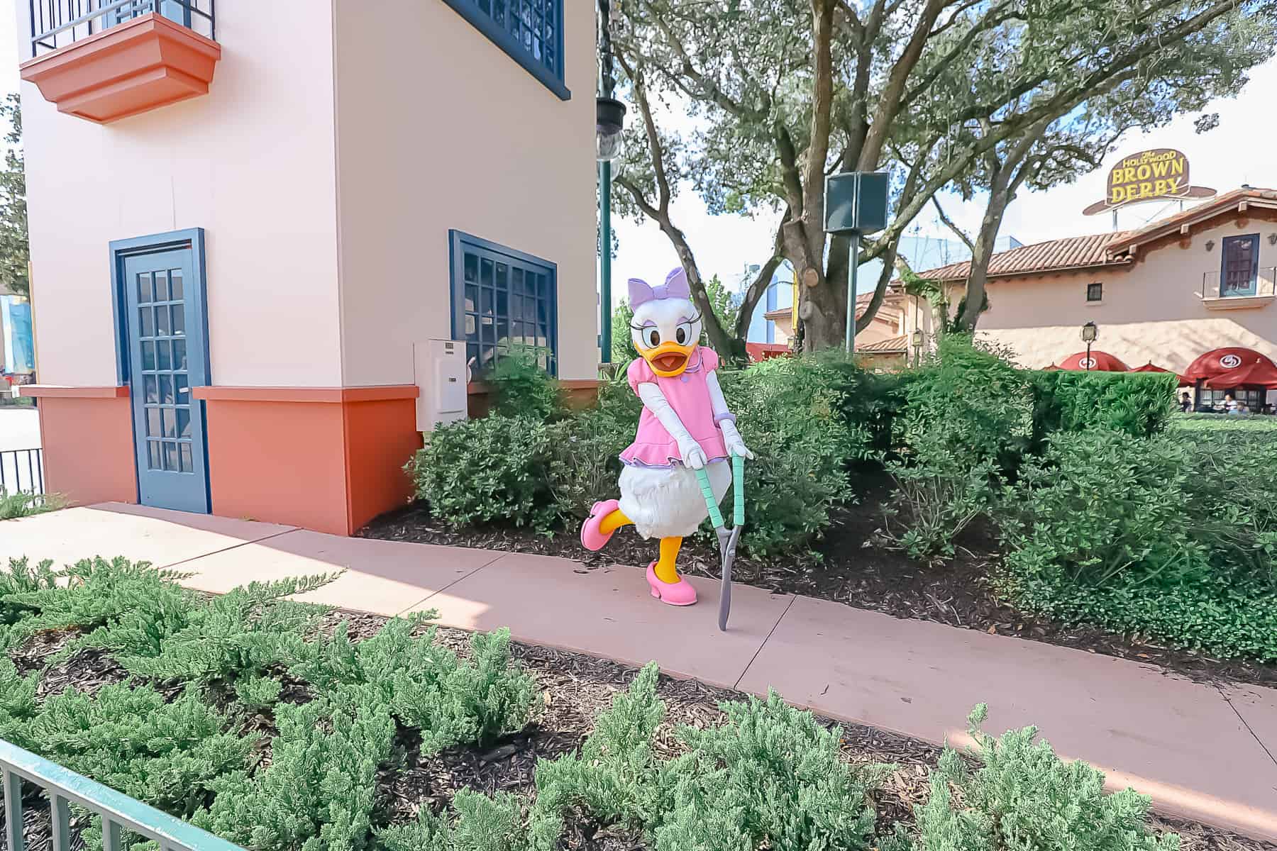 Daisy Duck on the lawn in front of the Hollywood Brown Derby. 