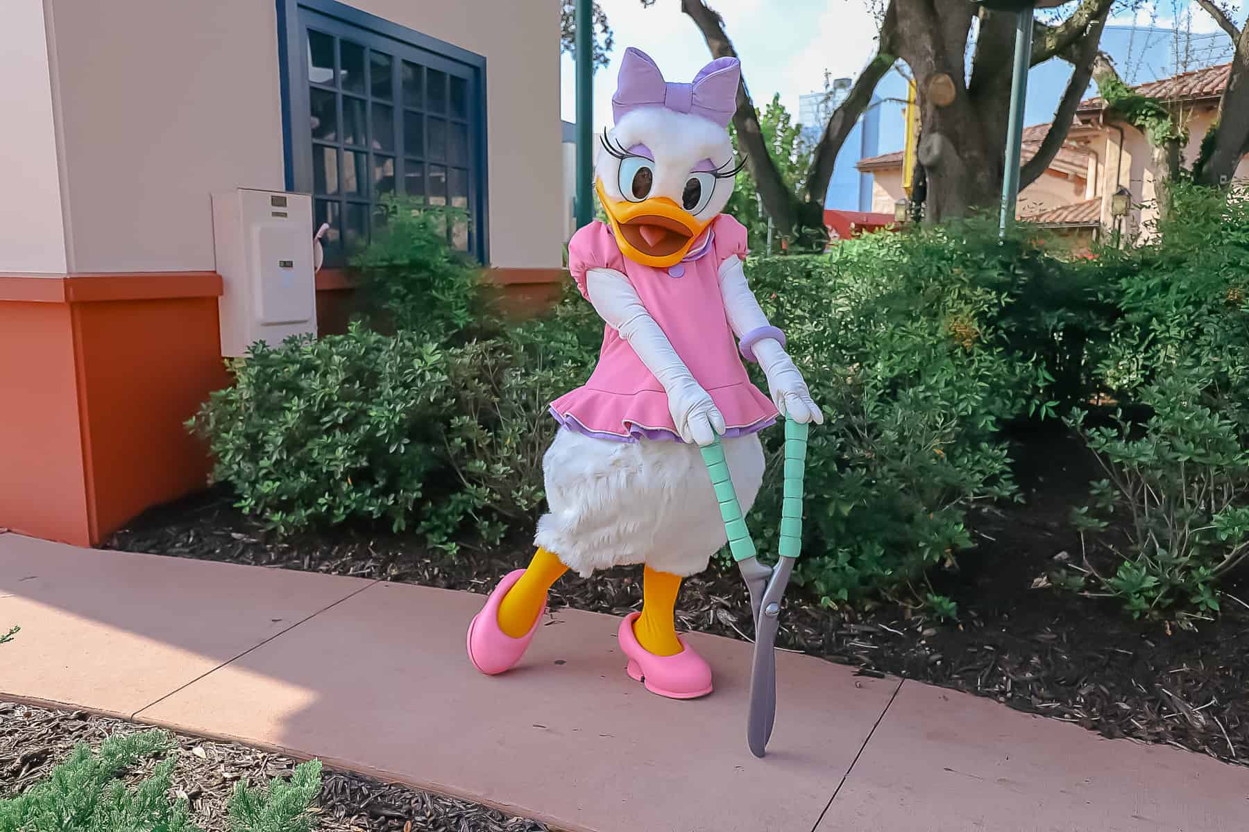 Daisy Duck poses for a photo at Disney's Hollywood Studio. 