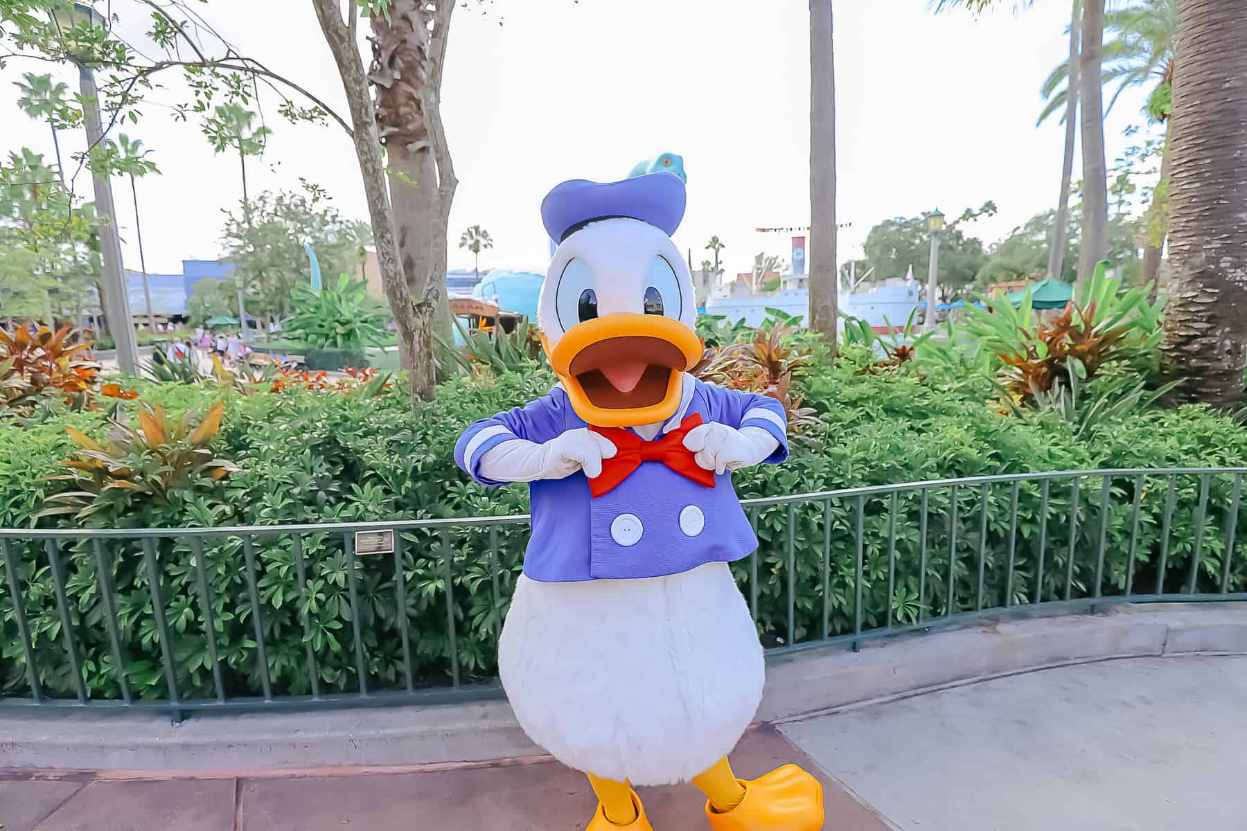 Donald adjusts his red bow tie. 