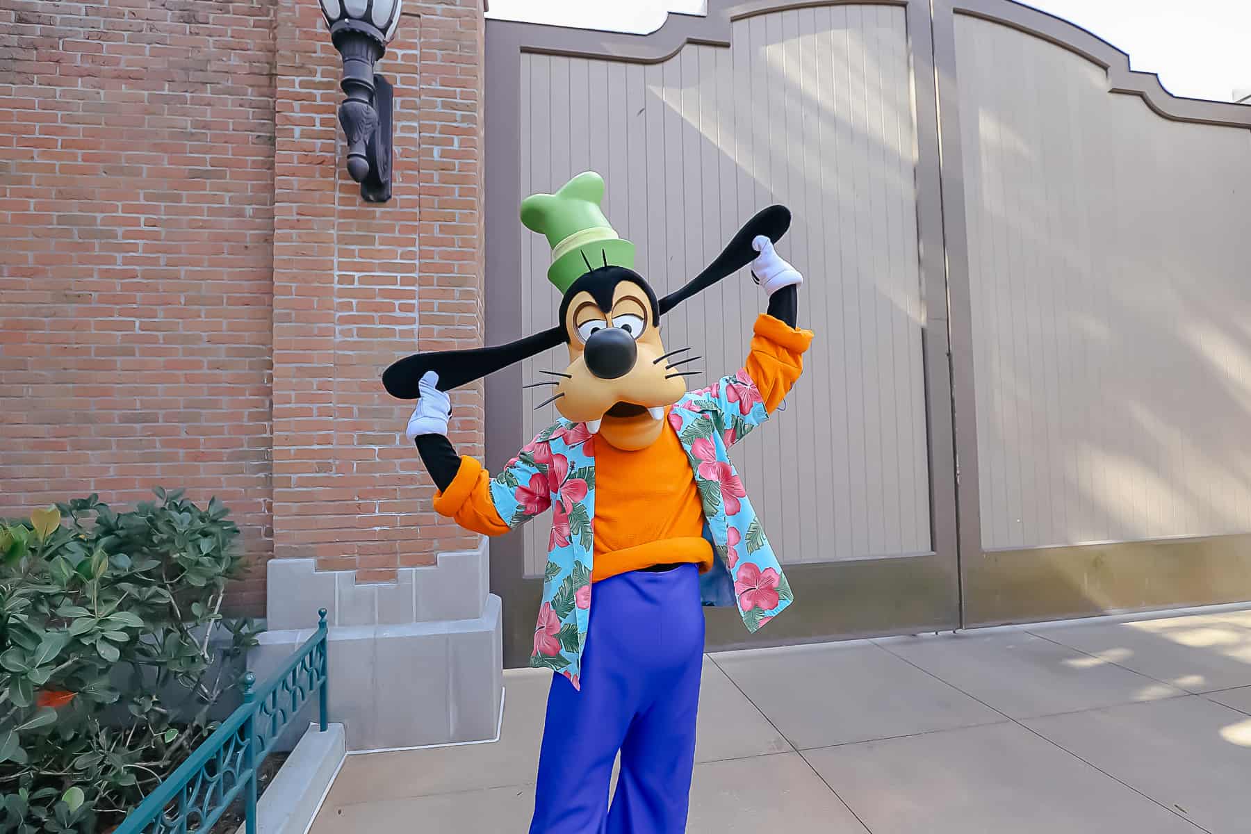 Goofy posing for the camera at Disney's Hollywood Studios. 