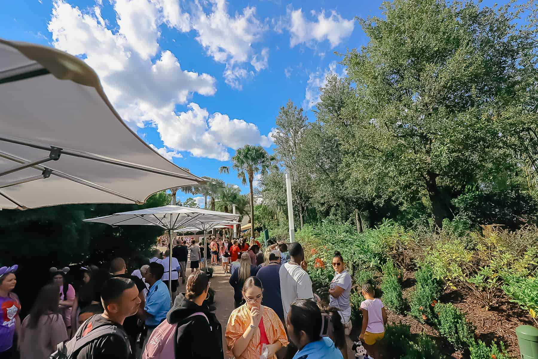 long line to meet Moana at Epcot 