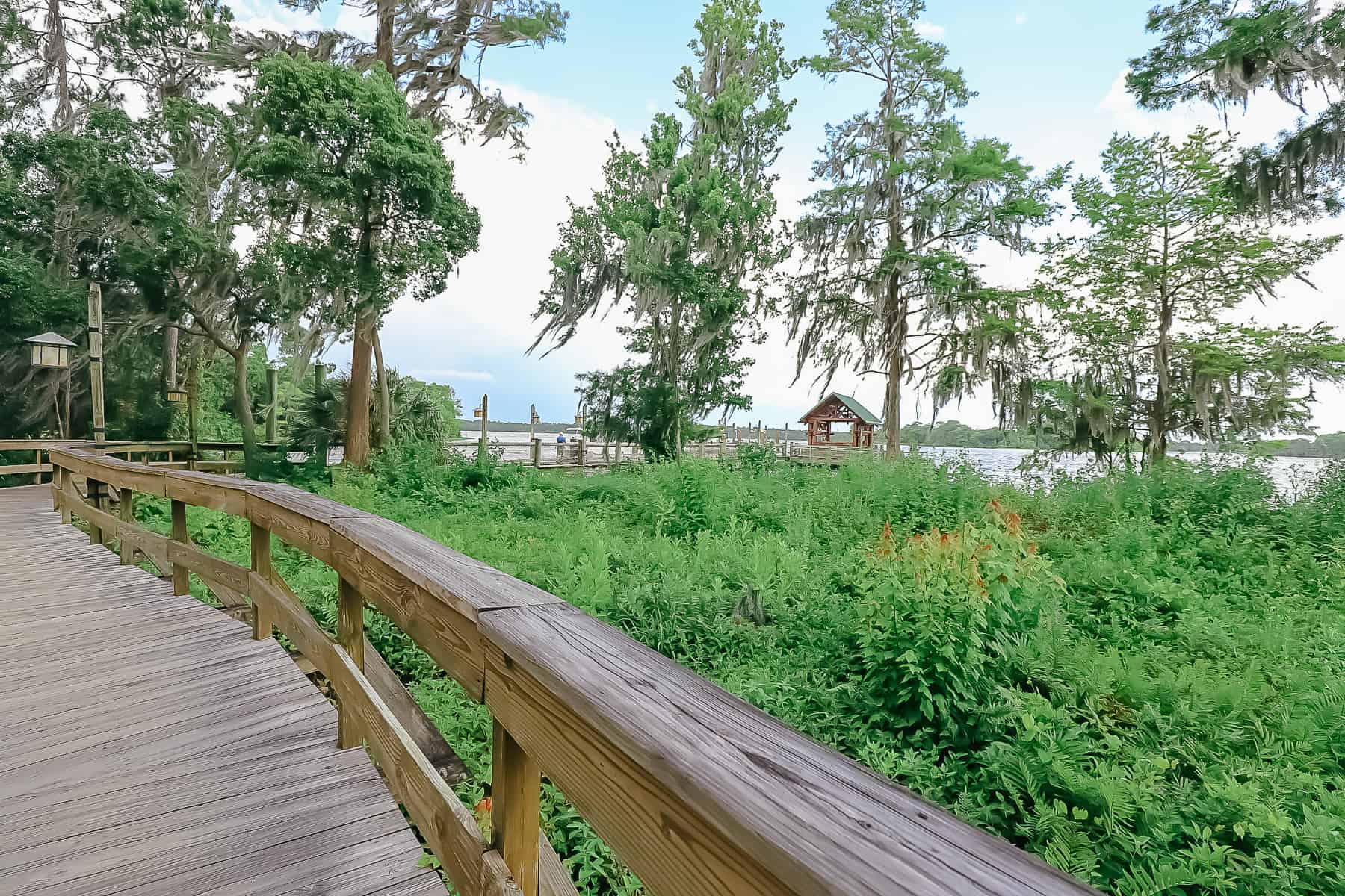 raised boardwalk to the Wilderness Lodge boat launch