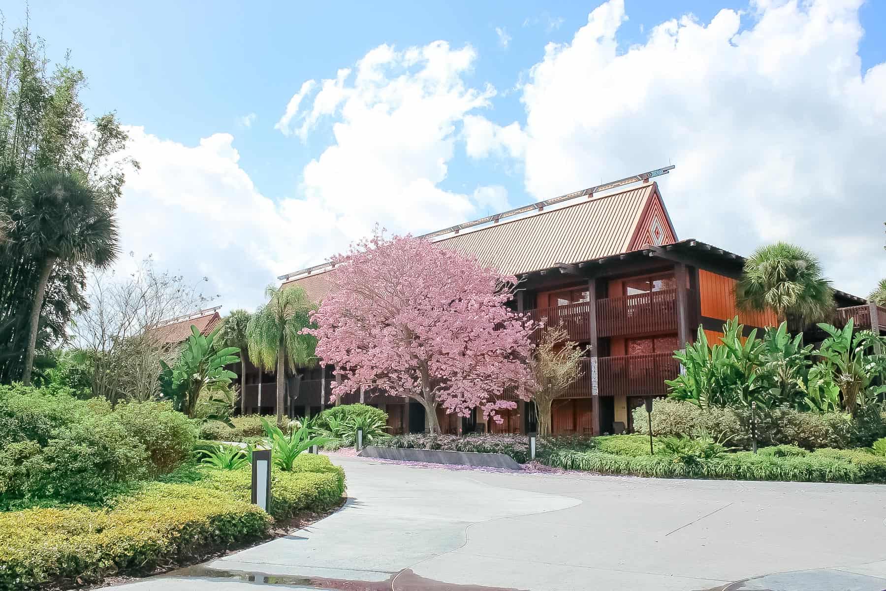 Trees blooming at Disney's Polynesian Village Resort 