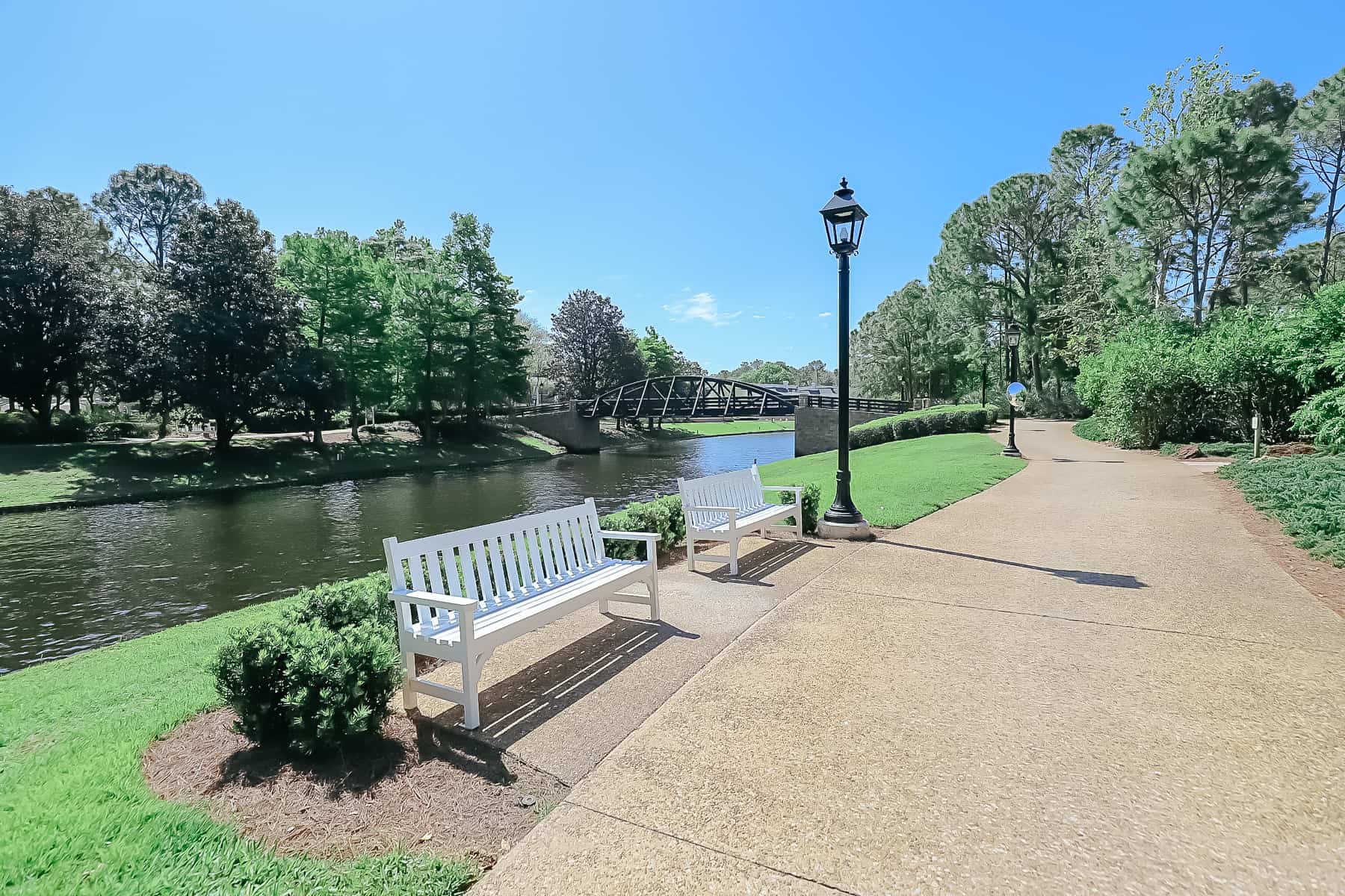 a sidewalk on the grounds of Port Orleans Riverside with white benches 
