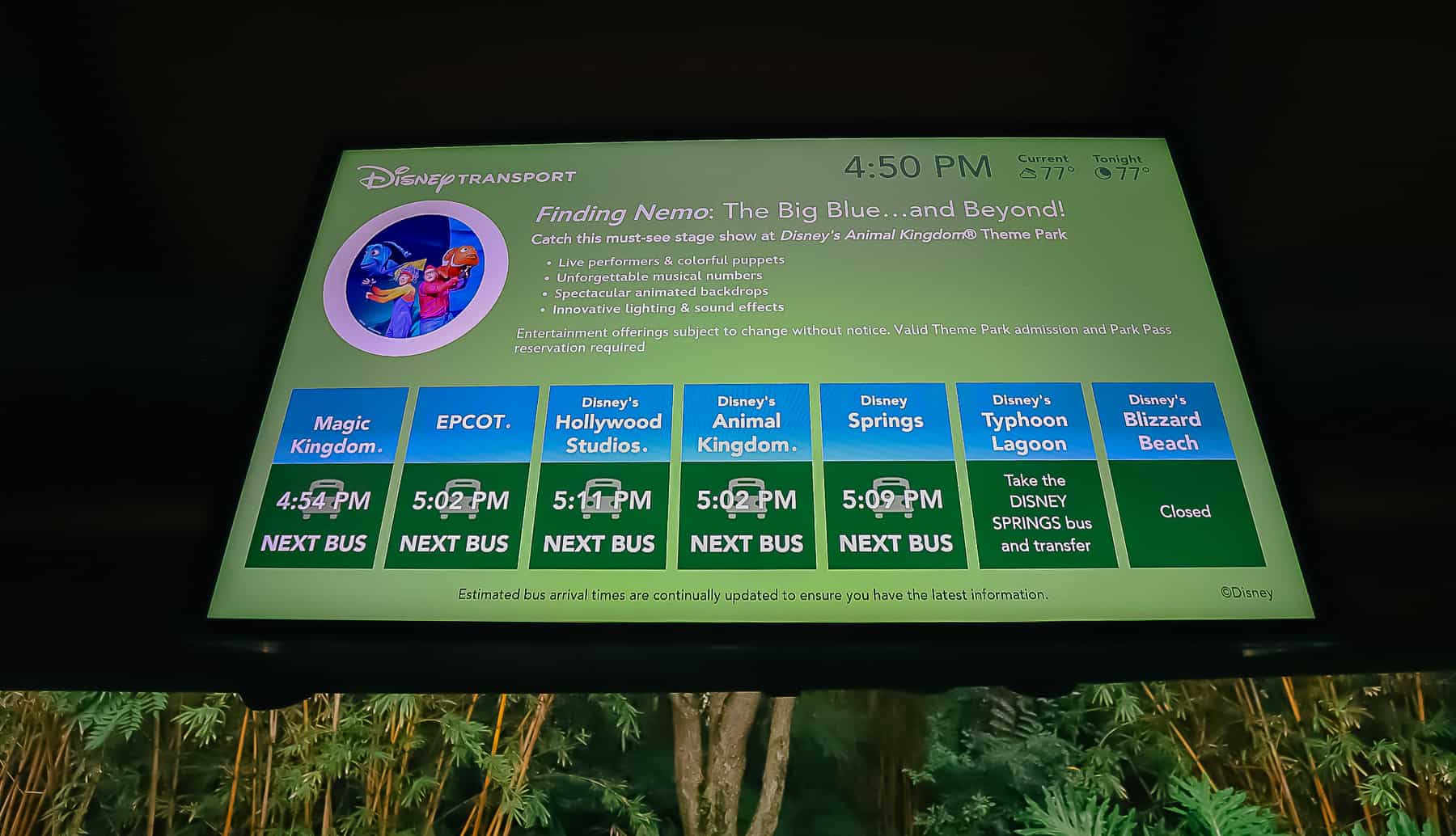 Wait Times for Buses at Animal Kingdom Lodge 