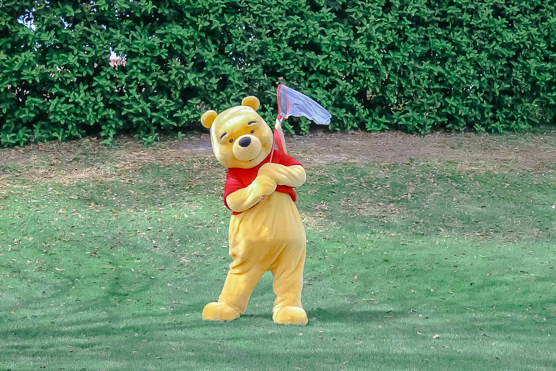 Where to Find Winnie the Pooh at Disney World 