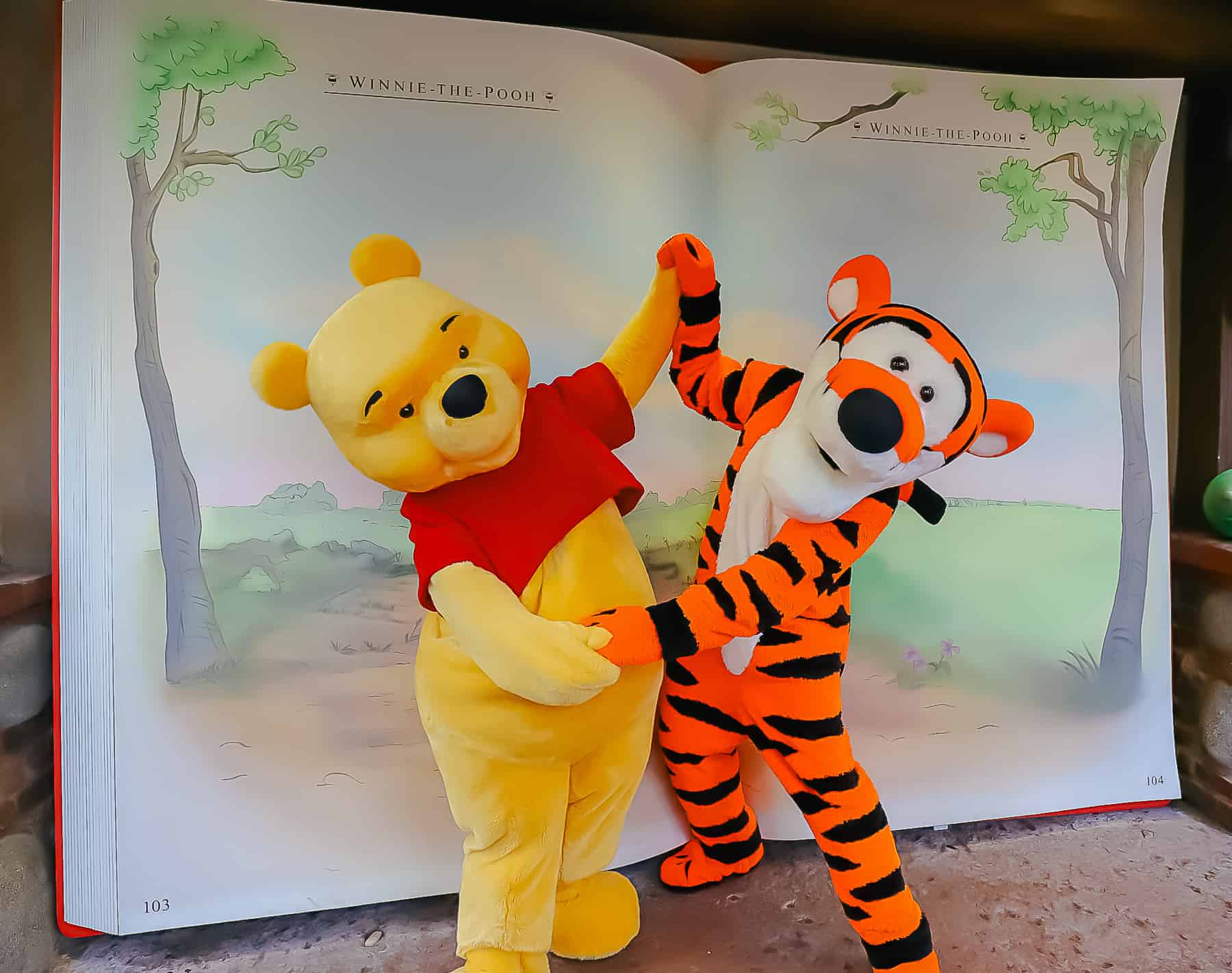 Winnie the Pooh with Tigger at Disney World 