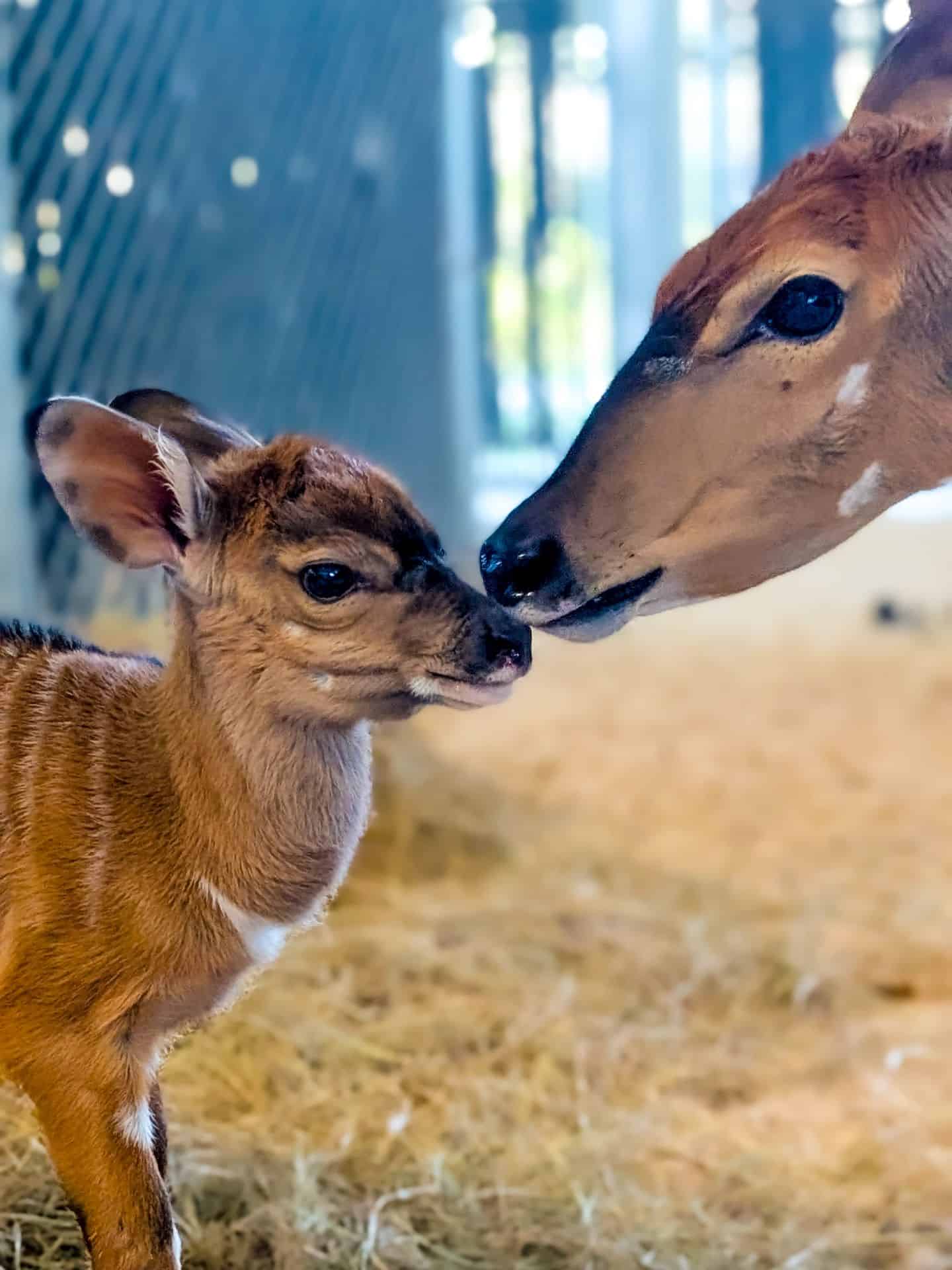 Parker with his mom