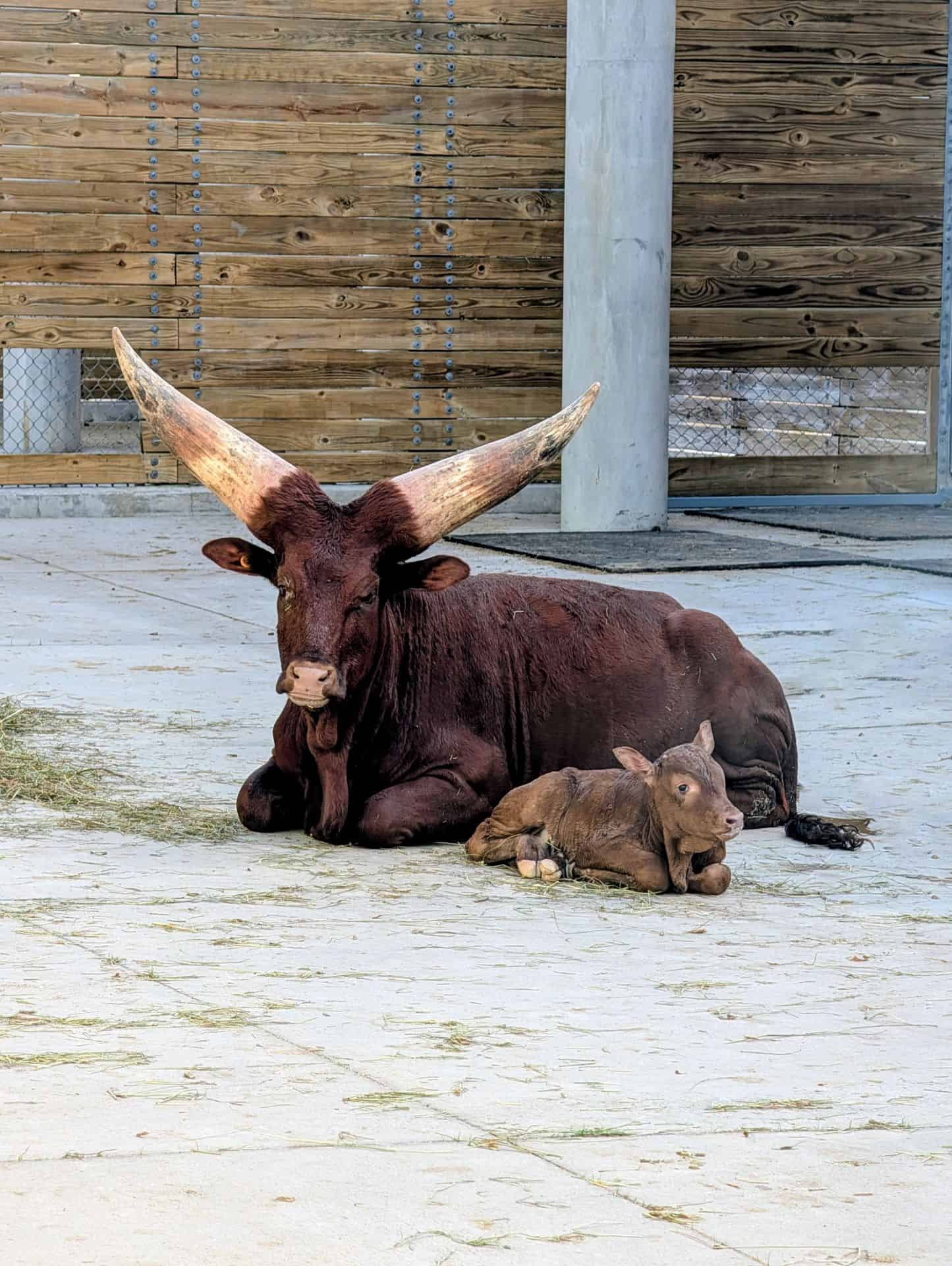 Mabel and mom Last