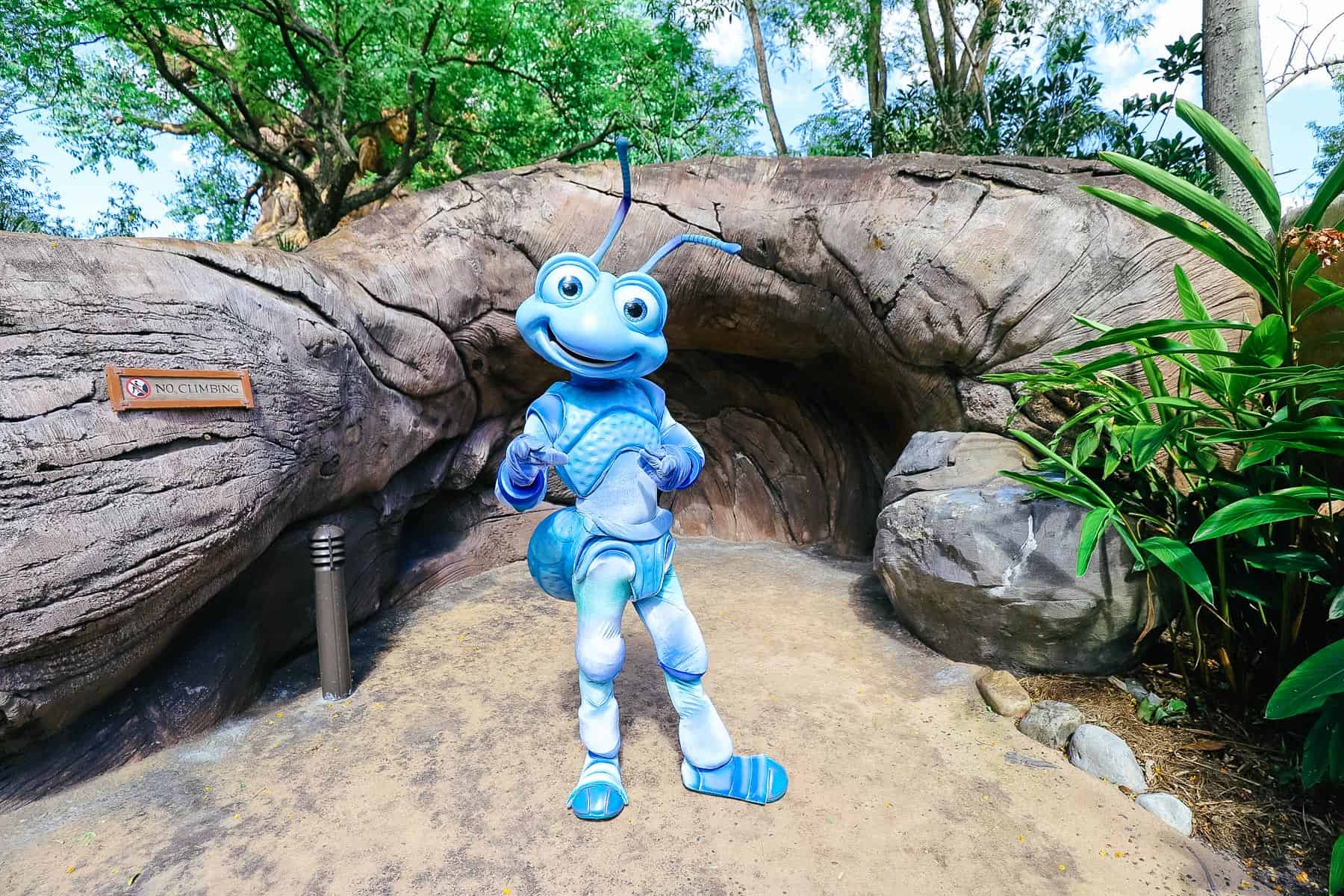 Flik