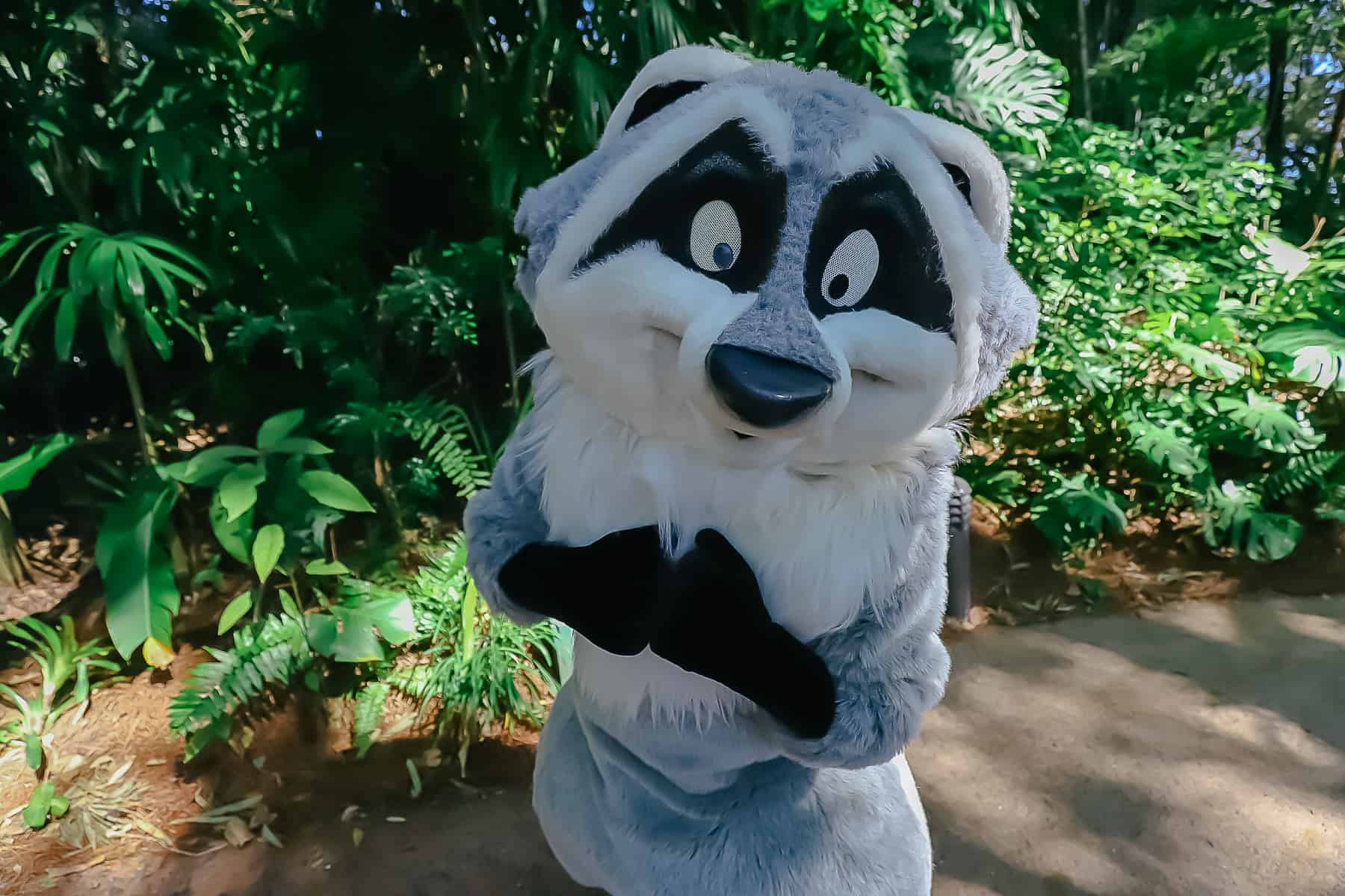 Meeko 