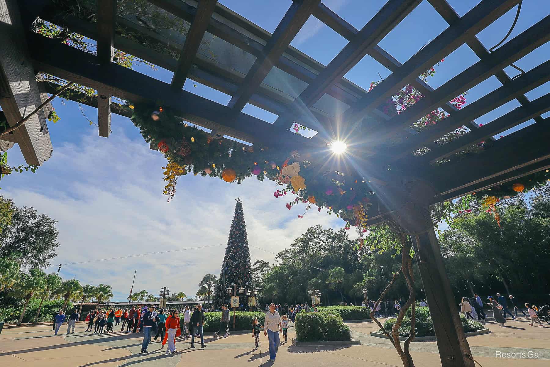sun shining through the pergola at the ticket booth at Disney's Animal Kingdom with the Christmas tree in the background