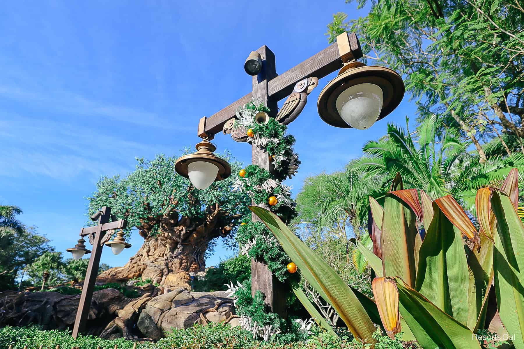 Christmas decorations wrapped around a lamp post in front of the Tree of Life (2025)