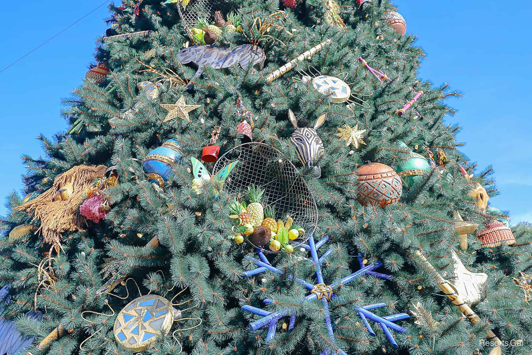 a Christmas tree at Disney World 