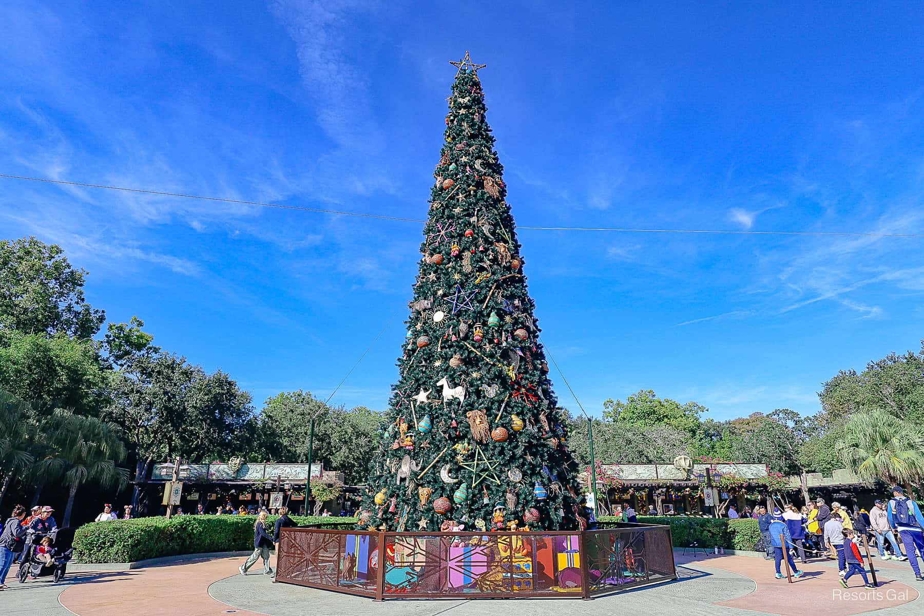 the Christmas tree at Disney's Animal Kingdom stands tall outside the park's main entrance in 2025