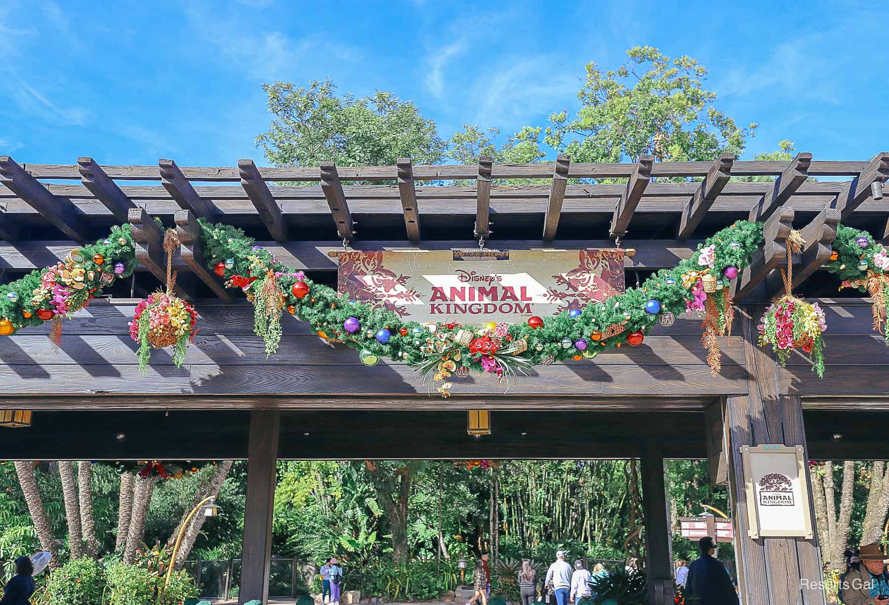 the entrance of Disney's Animal Kingdom with garland strung around the sign