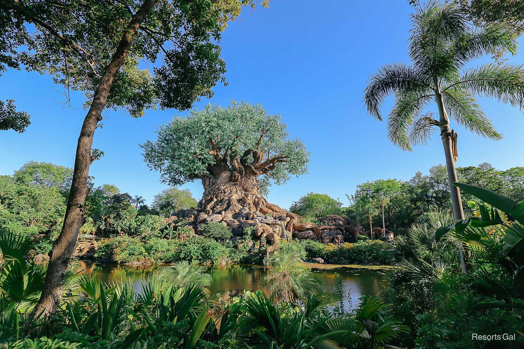 Celebrate Cool Kid Summer with New Activities at Disney’s Animal Kingdom This Summer