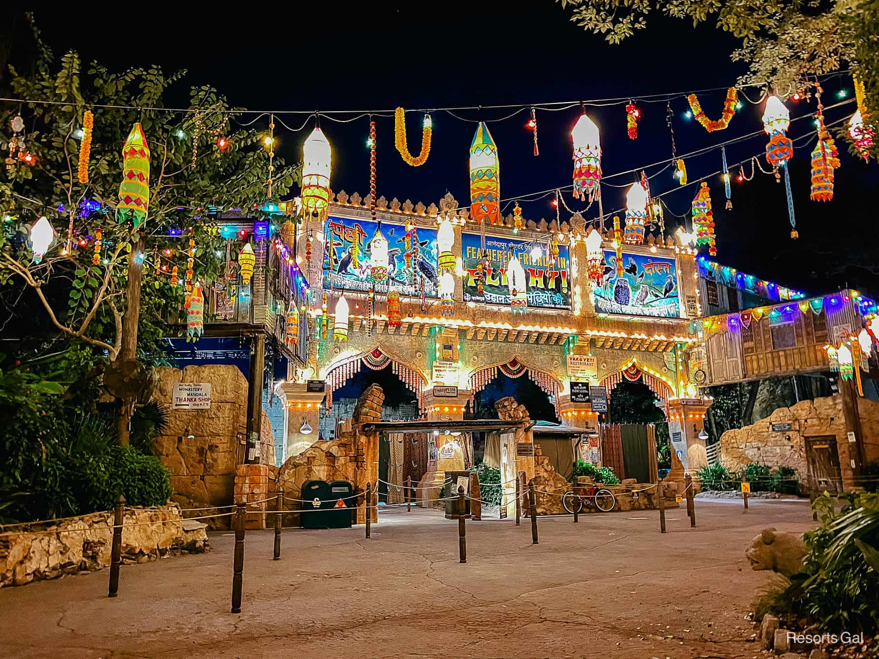 the lanterns hanging in Disney's Animal Kingdom
