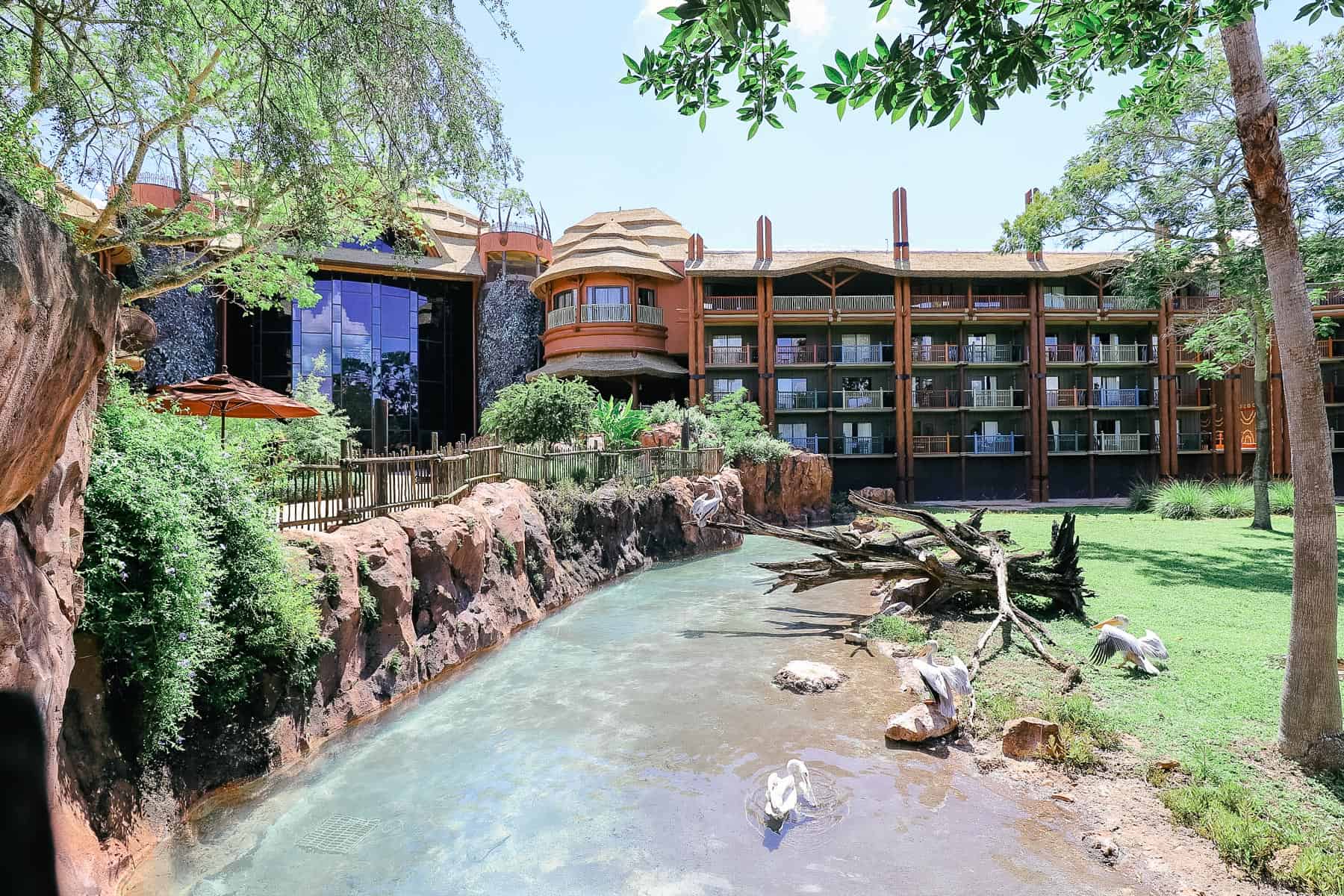 a creek that runs behind Jambo House at Animal kingdom Lodge with the resort in the background 