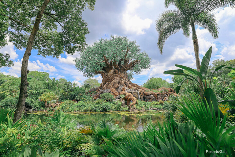Animal Kingdom Park Hopping Strategy with Lightning Lanes