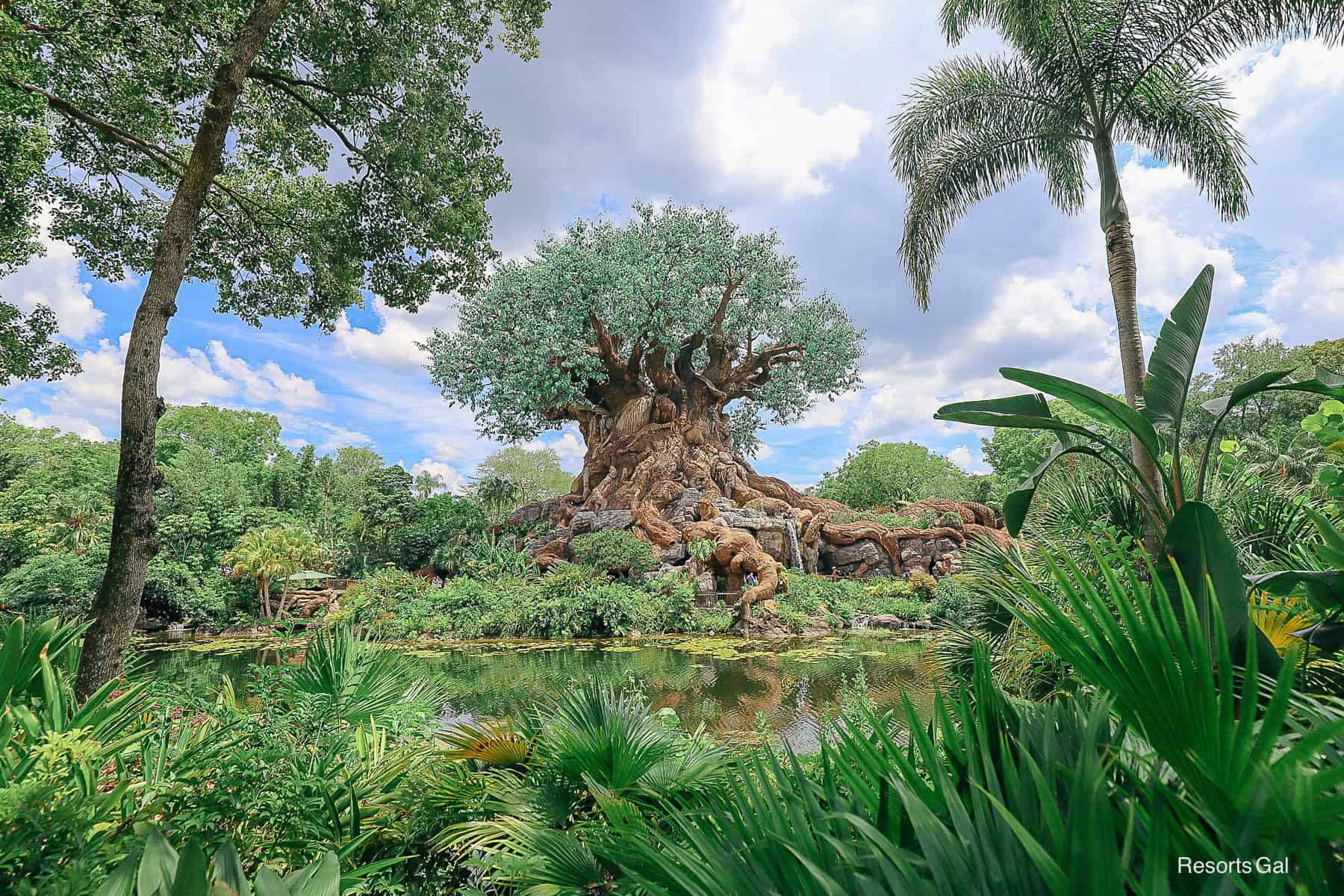 Animal Kingdom Park Hopping Strategy with Lightning Lanes