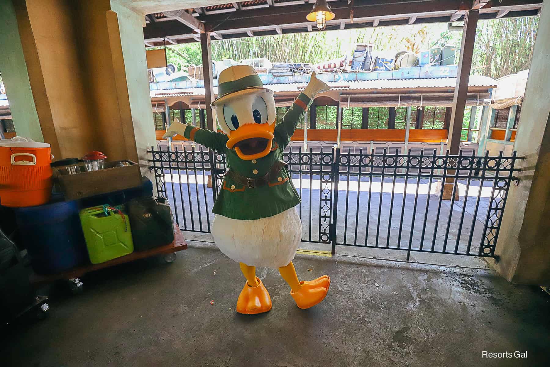 Donald Duck in his safari suit at a temporary meet-and-greet location.