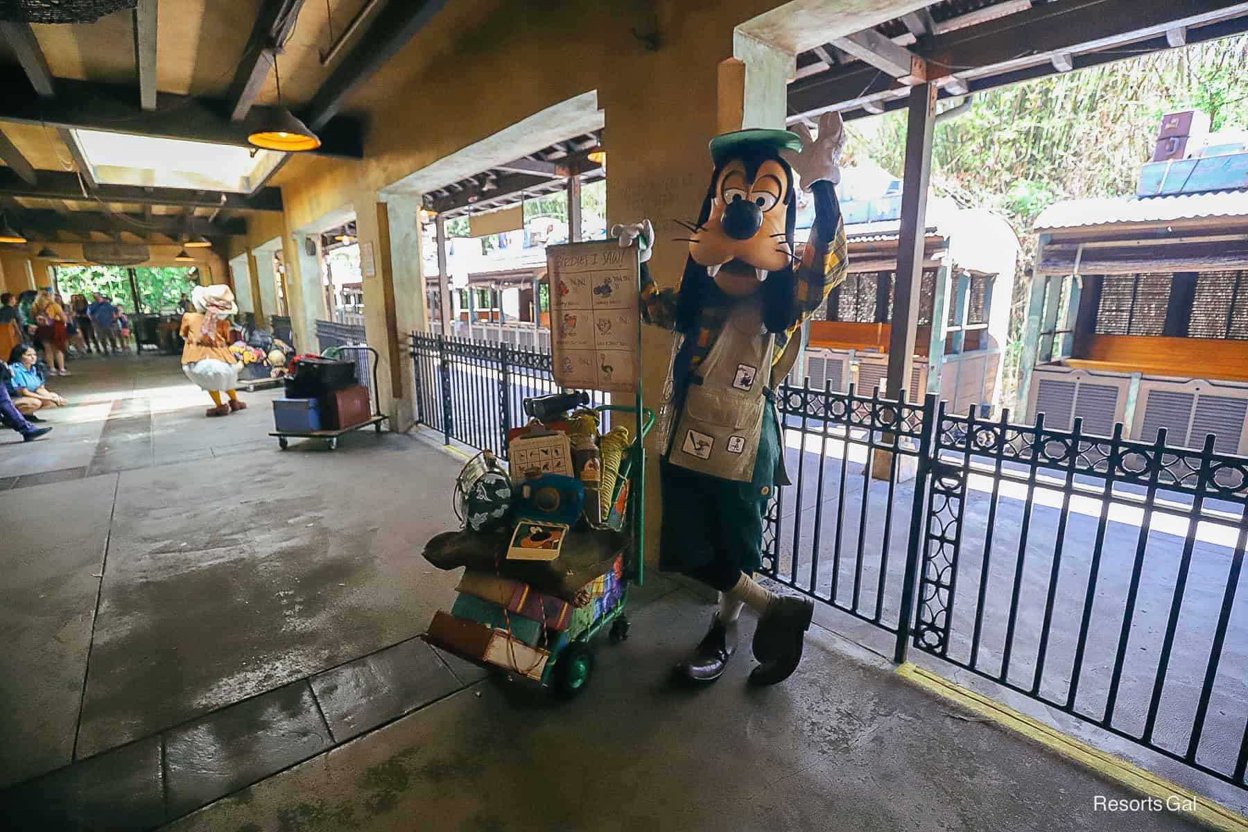 Goofy in his bird-watching outfit 