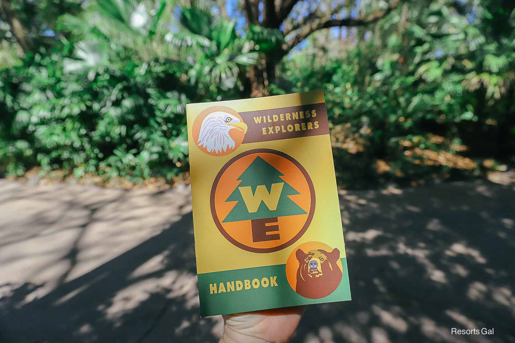 a hand holding a Wilderness Explorer handbook 