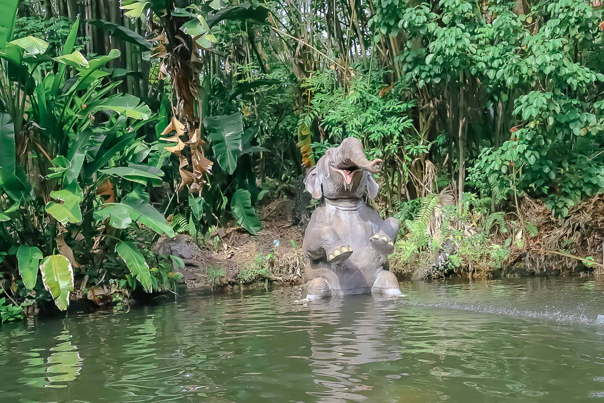 a baby elephant as seen from the boat on Jungle Cruise at Magic Kingdom 