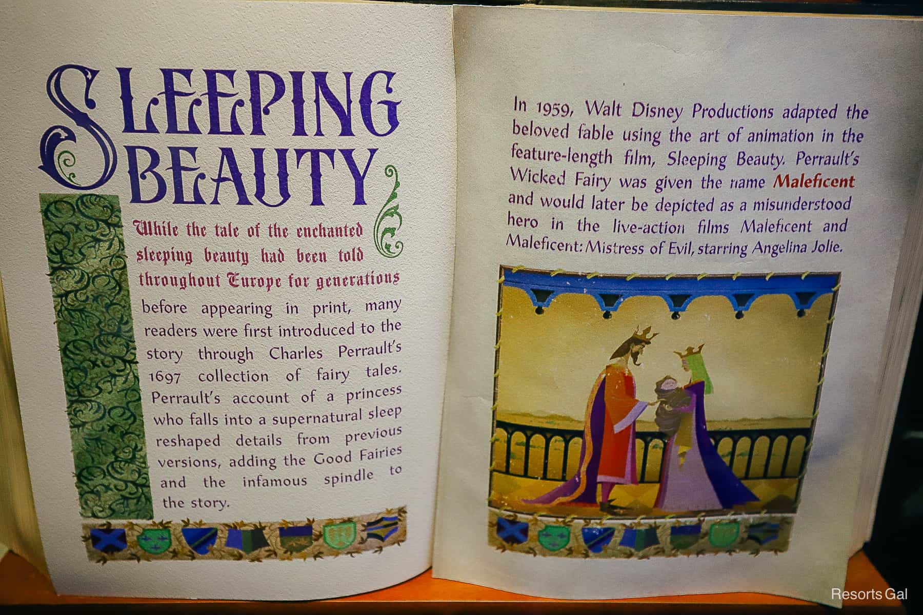 a storybook with information about Sleeping Beauty 