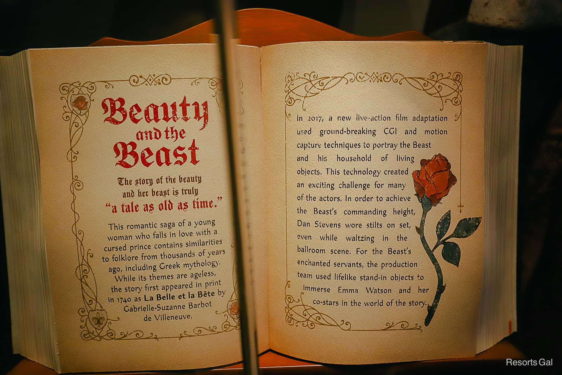 Beauty and the Beast information storybook with a rose printed on the side 
