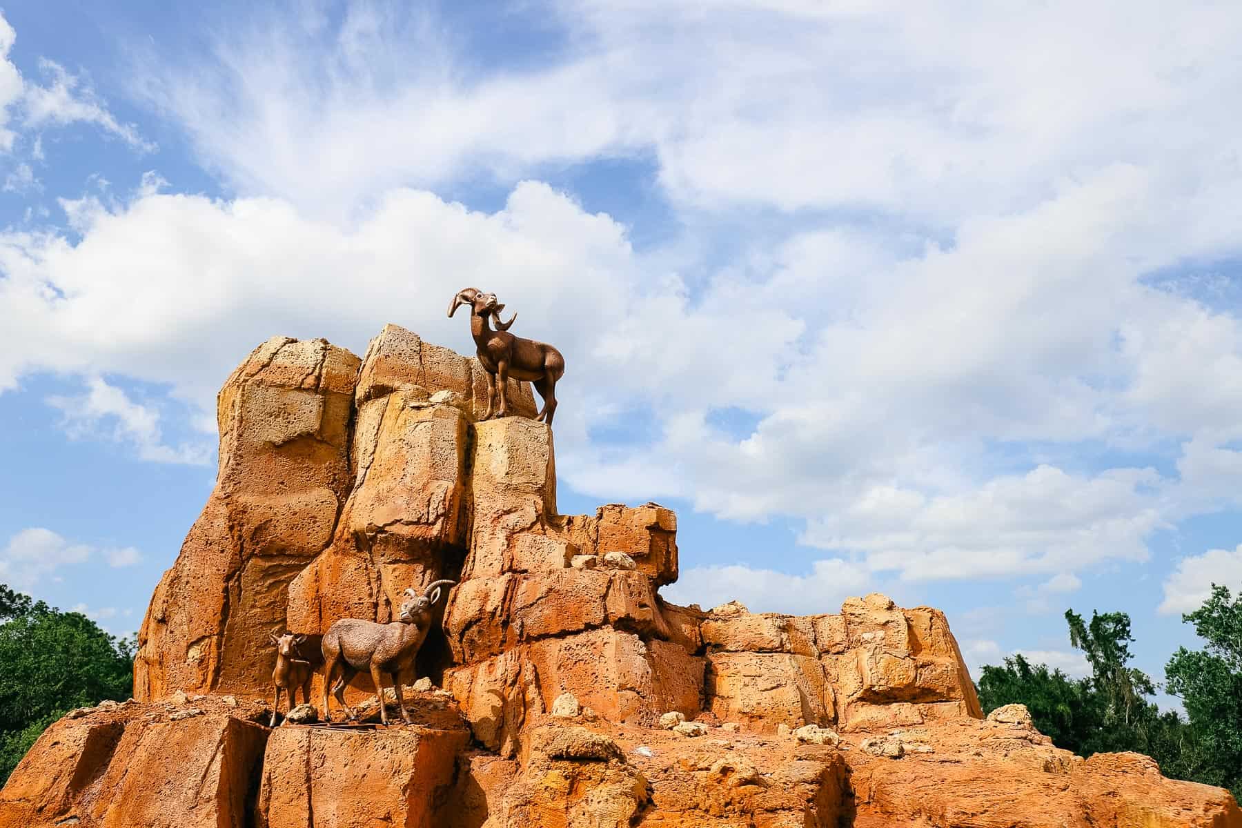 Mountain goats posed on one of the hills of Big Thunder Mountain Railroad. 