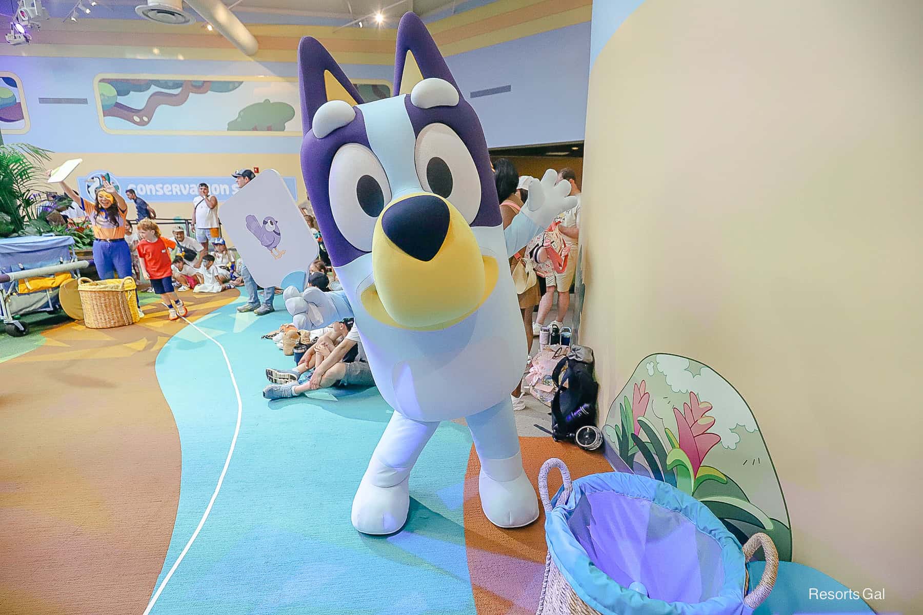 Bluey’s Wild World at Conservation Station