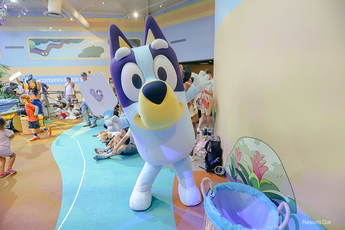 Bluey at Disney World