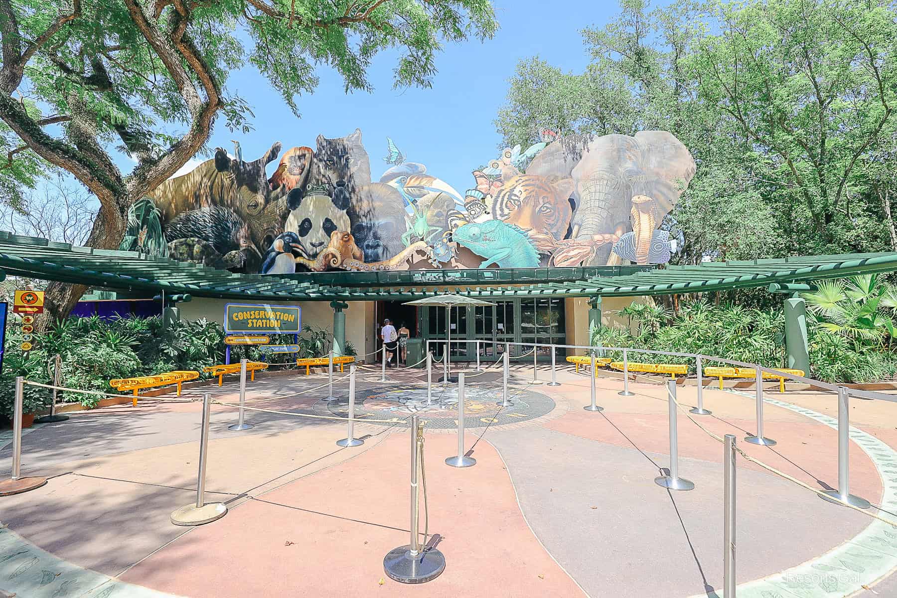 the outdoor queue for the initial opening of Bluey's Wild World 