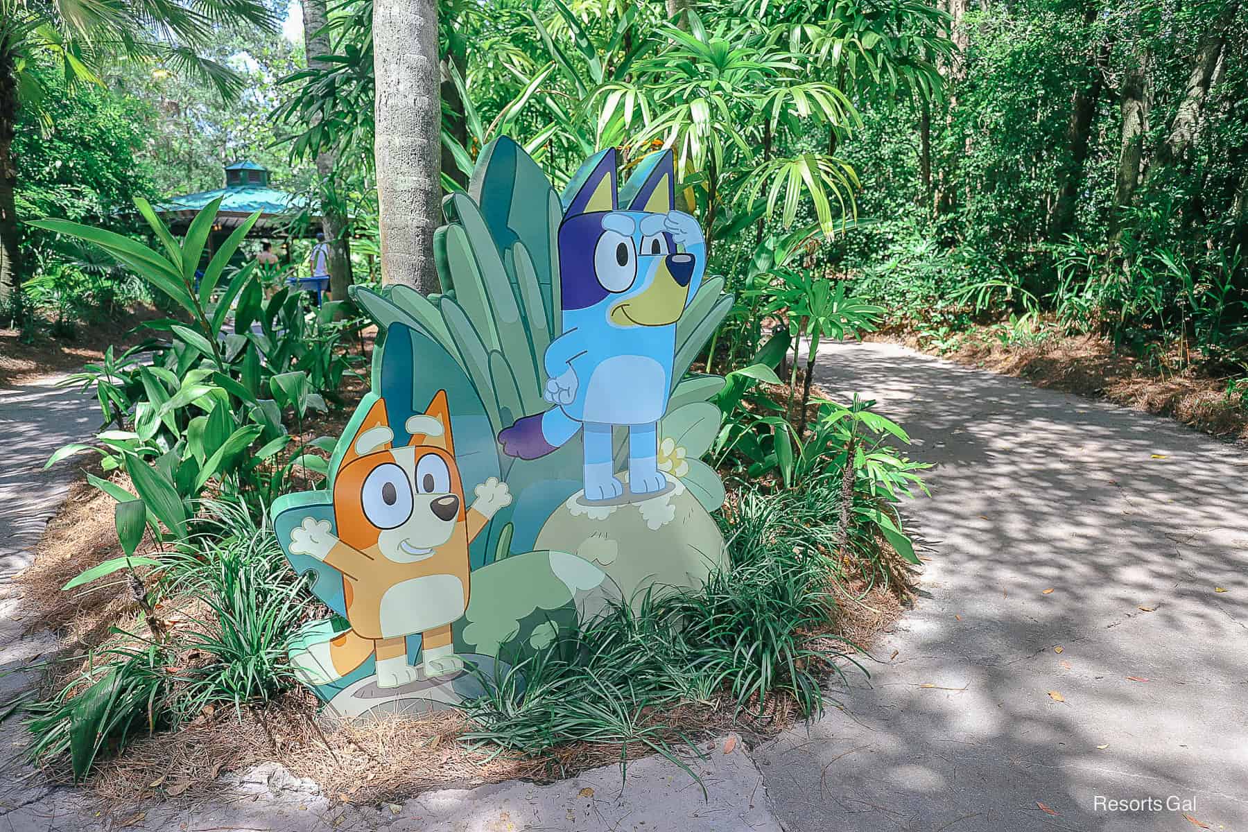 Virtual Queue for Bluey’s Wild World at Disney World No Longer Needed After June 1st