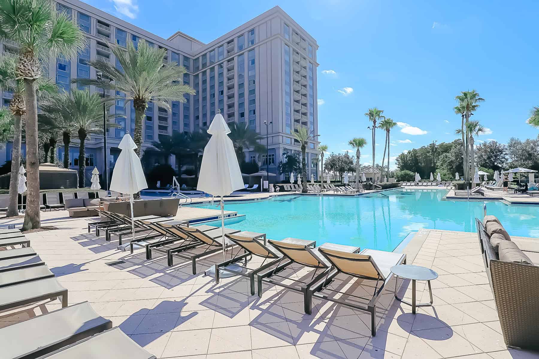 the pool at Waldorf Astoria Orlando surrounded by palm trees