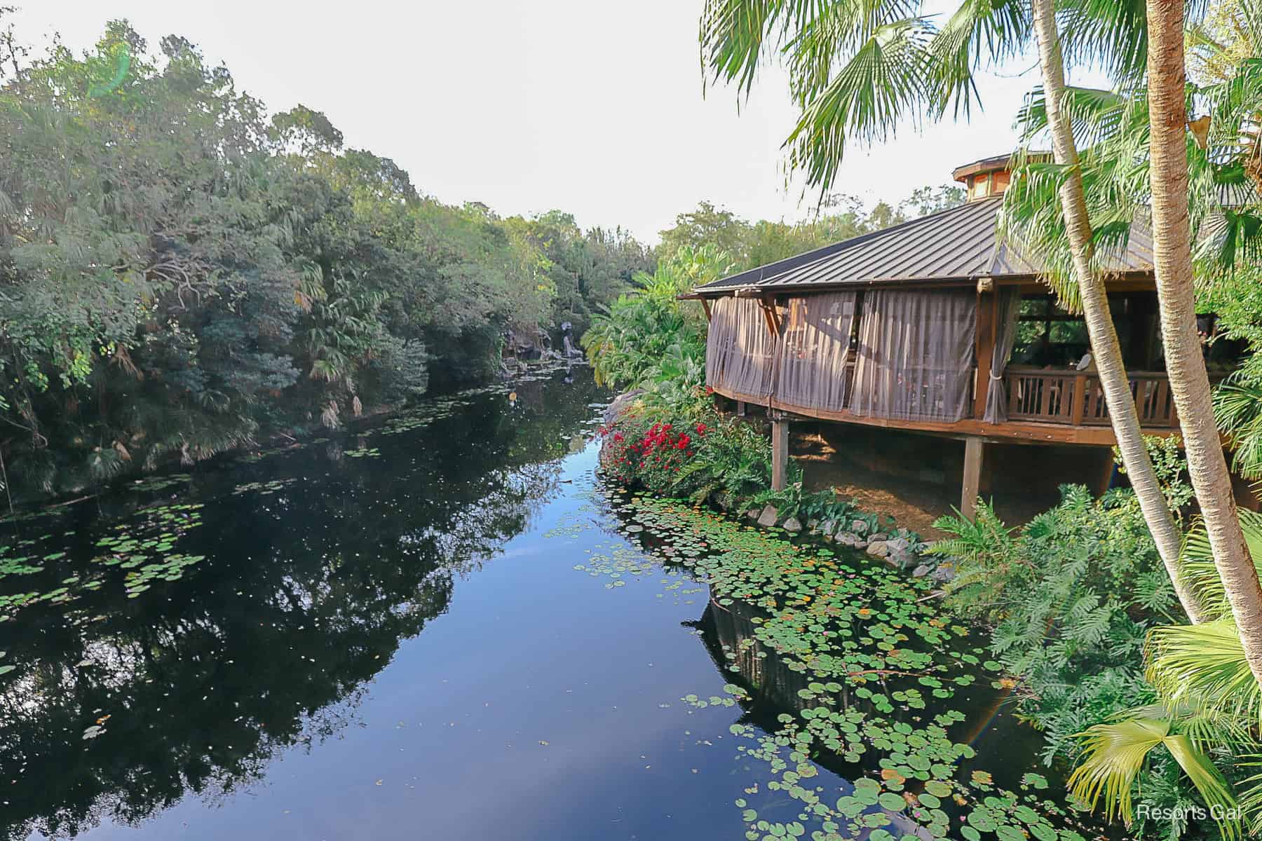 a view of the Discovery River from the bridge that leads to Pandora, World of Avatar 