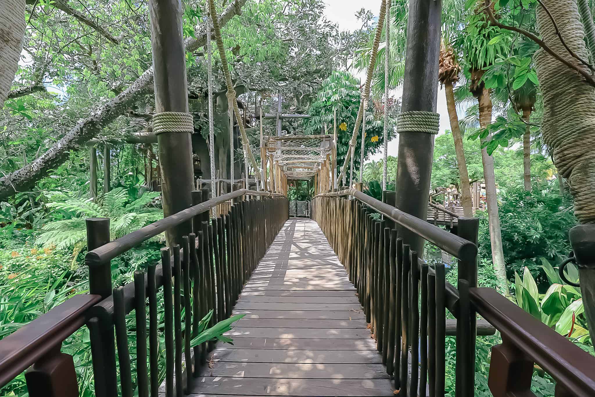 the bridge to access the treehouse 
