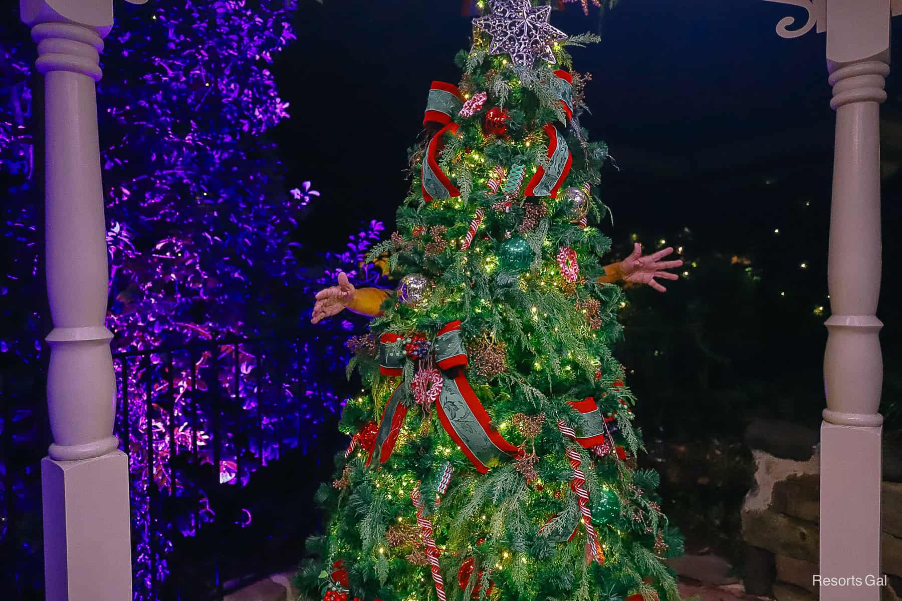 Bruno was joking around and hid behind a Christmas tree.