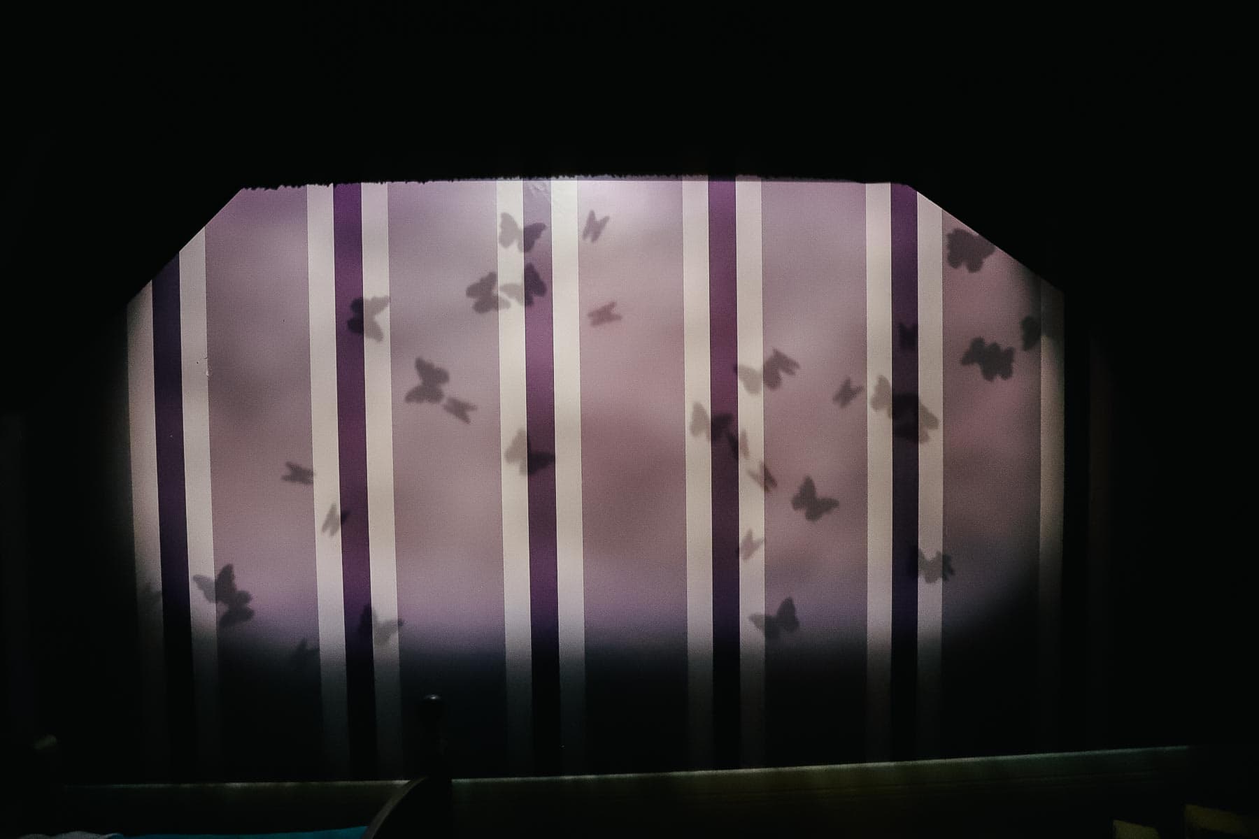 shadows of butterflies at Peter Pan's Flight 