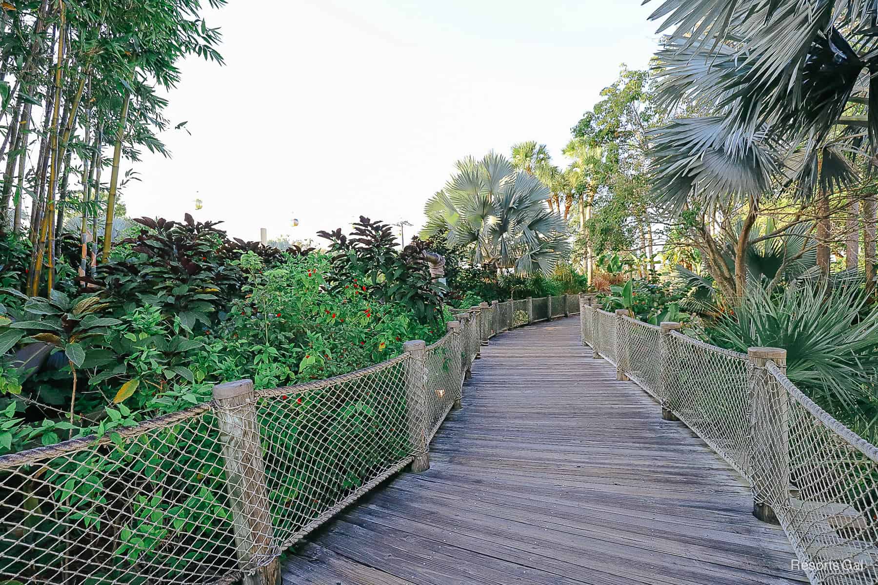 a wooden boardwalk that wraps around Caribbean Cay with rope barriers