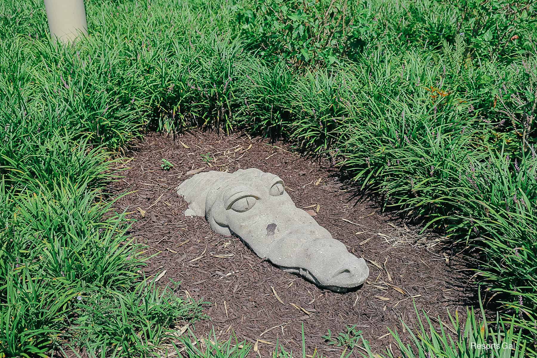 a play alligator popping up at the playground