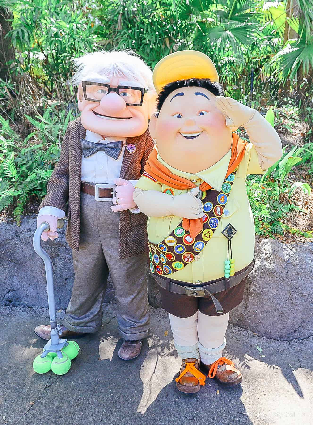 vertical of Mr. Fredricksen and Russell from UP
