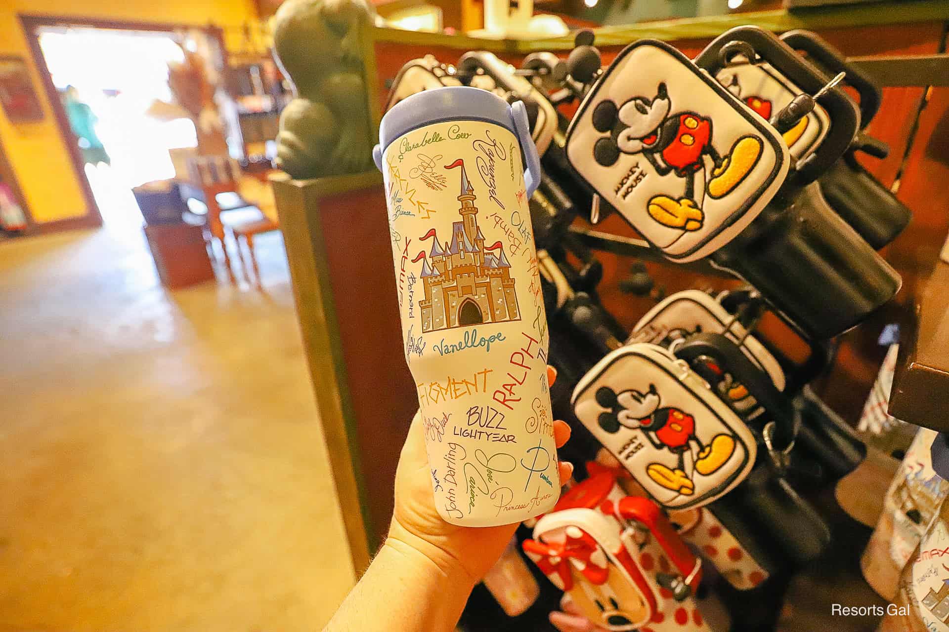 Disney World Character Tumbler